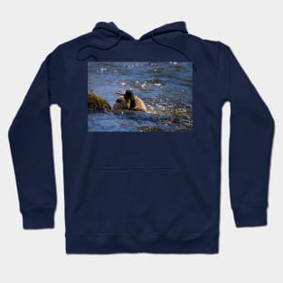 Swimming uphill Hoodie